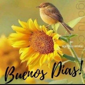 Meet your Posher, Aurora